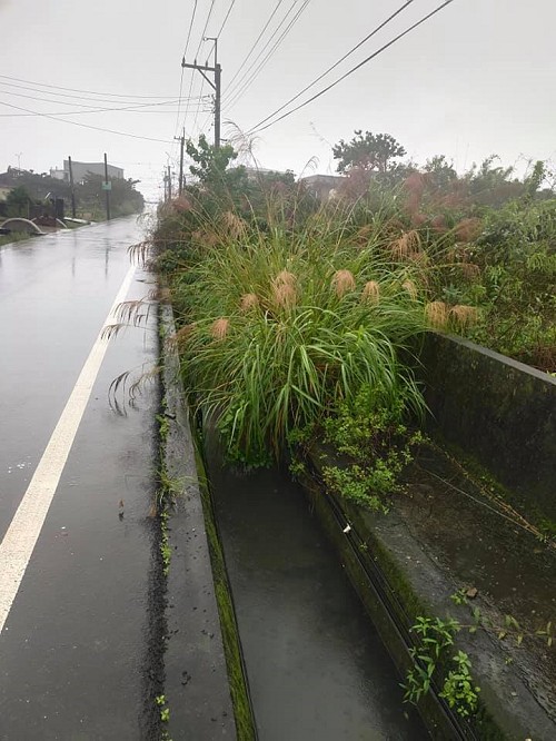 宜蘭五結割草除草