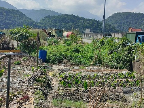 蘇澳除草