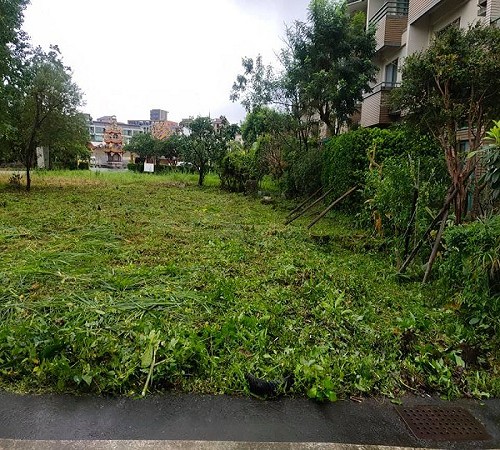 宜蘭市除草-許先生除草工程