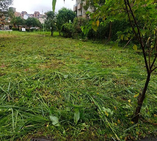 宜蘭市除草-許先生除草工程