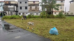 宜蘭割草除草