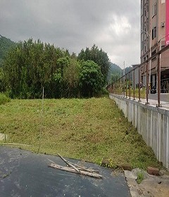 頭城除草