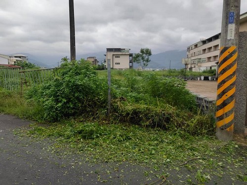 宜蘭市除草