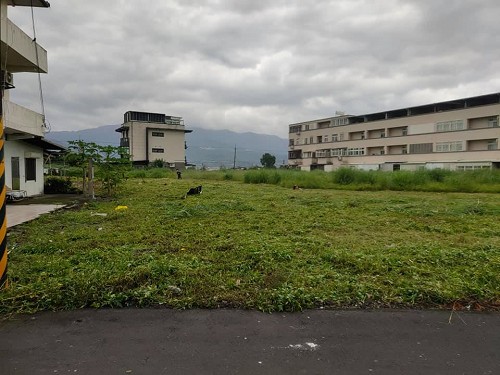 宜蘭市除草