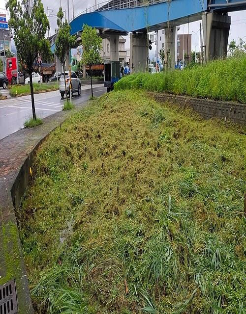 宜蘭市除草