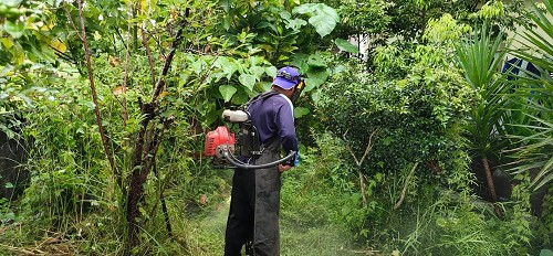 冬山除草