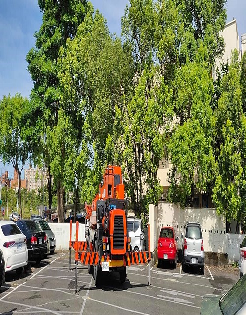 宜蘭市樹木修繕